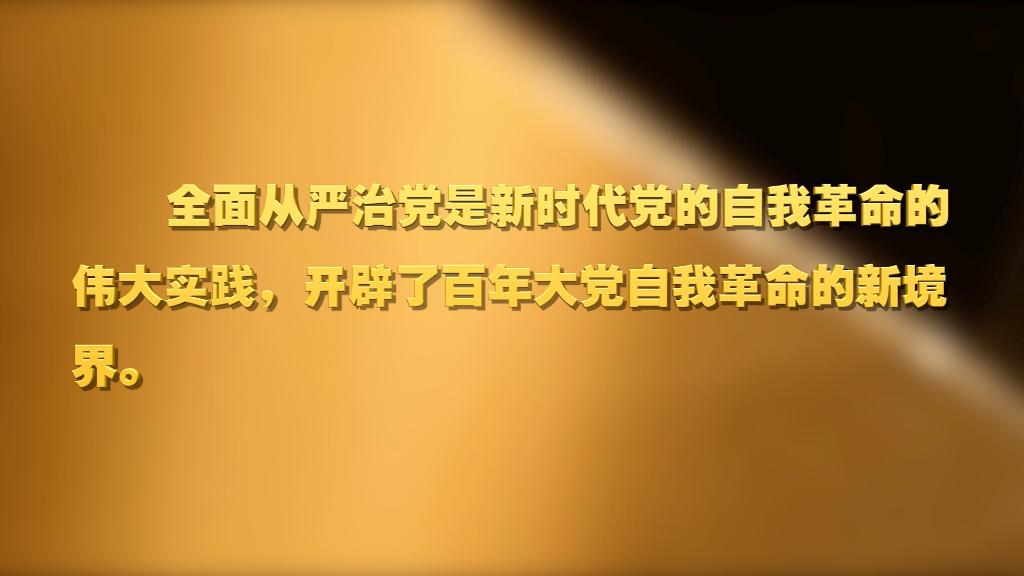 劃重點！十九屆中央紀委六次全會 習(xí)近平提出這些要求