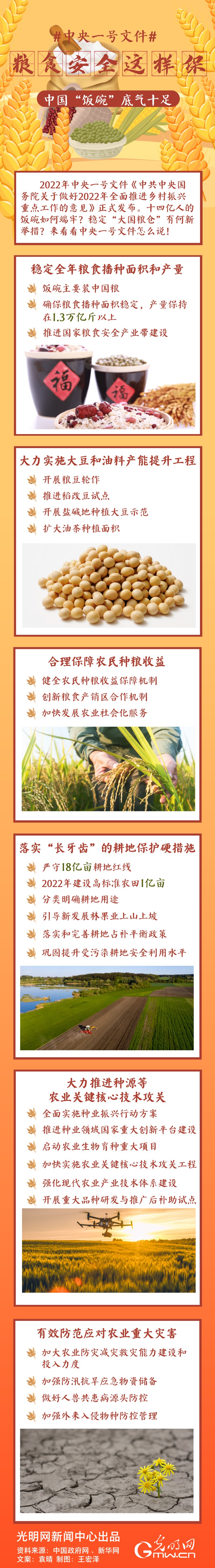 中央一號(hào)文件｜糧食安全這樣保，中國(guó)“飯碗”底氣十足