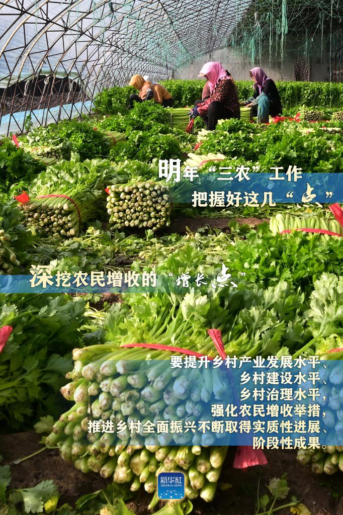 明年“三農(nóng)”工作，這幾個(gè)“點(diǎn)”要把握好