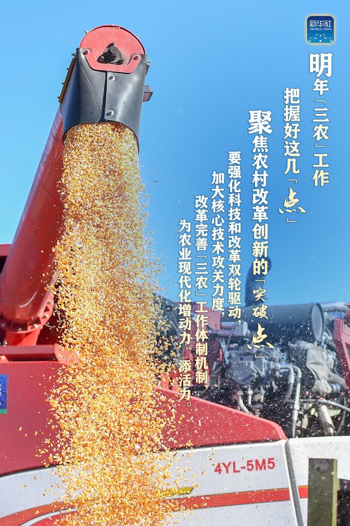 明年“三農(nóng)”工作，這幾個(gè)“點(diǎn)”要把握好