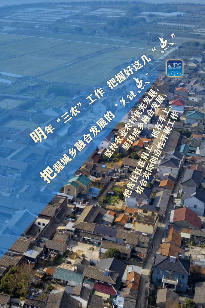 明年“三農(nóng)”工作，這幾個(gè)“點(diǎn)”要把握好