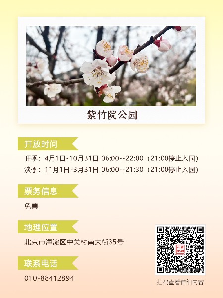 追花指南第六期！杏花雨 楊柳風(fēng) 北京最美的杏花在這里
