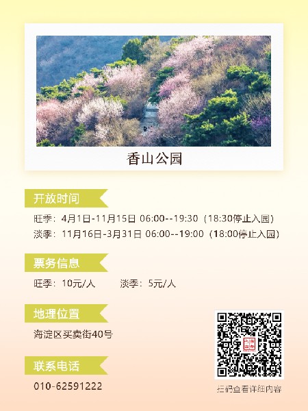 追花指南第六期！杏花雨 楊柳風(fēng) 北京最美的杏花在這里