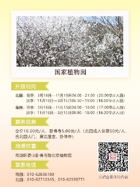 追花指南第六期！杏花雨 楊柳風(fēng) 北京最美的杏花在這里
