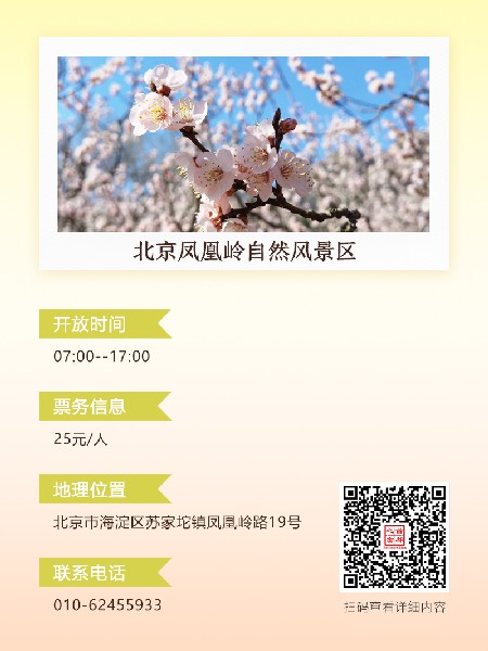 追花指南第六期！杏花雨 楊柳風(fēng) 北京最美的杏花在這里