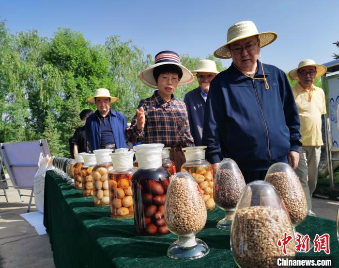 青海：利用冷涼氣候，打造高原綠色種業(yè)輸出地