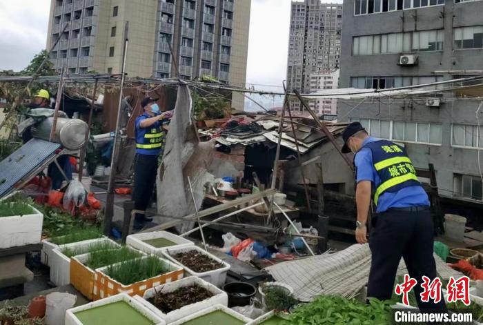 在一處居民樓屋頂，城管隊(duì)員拆除“空中菜園”?！〗疖?攝