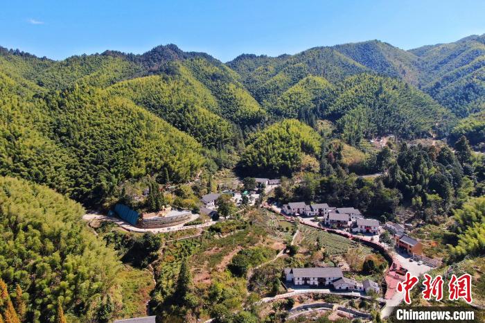 航拍江西井岡山市神山村，青山環(huán)繞，風景秀美。　劉力鑫 攝