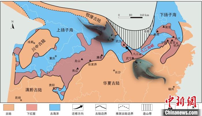 華南地區(qū)志留紀(jì)早期古地理圖和盔甲魚類化石產(chǎn)地(山顯任改自陳旭、戎嘉余，1996；戎嘉余等，2012) 中科院古脊椎所 供圖