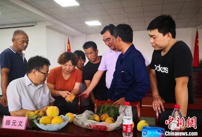 民進(jìn)浙江省委會(huì)為三里橋黃桃種植戶(hù)送技術(shù)、送指導(dǎo)?！〖紊平y(tǒng)戰(zhàn) 供圖