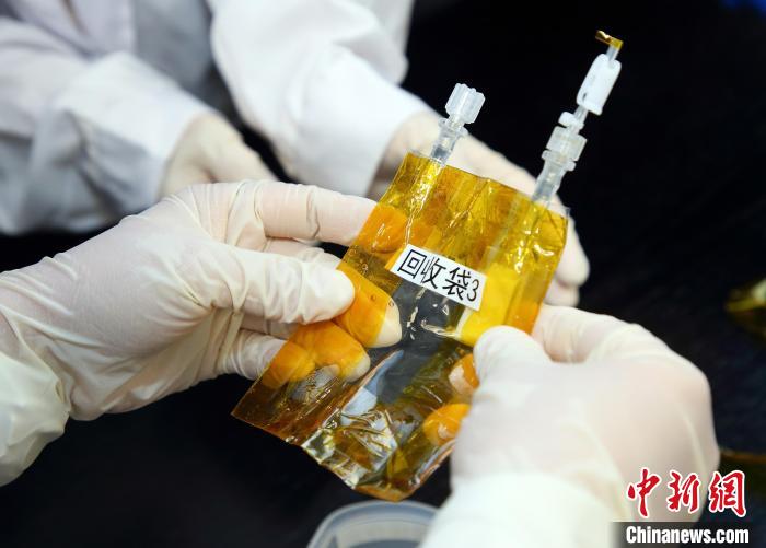 隨神舟十五號(hào)返回地面的空間科學(xué)實(shí)驗(yàn)樣品?！≈锌圃嚎臻g應(yīng)用中心 供圖