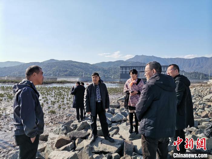 浙江海洋生態(tài)觀察：智慧大腦如何解鎖藍(lán)色發(fā)展密碼？