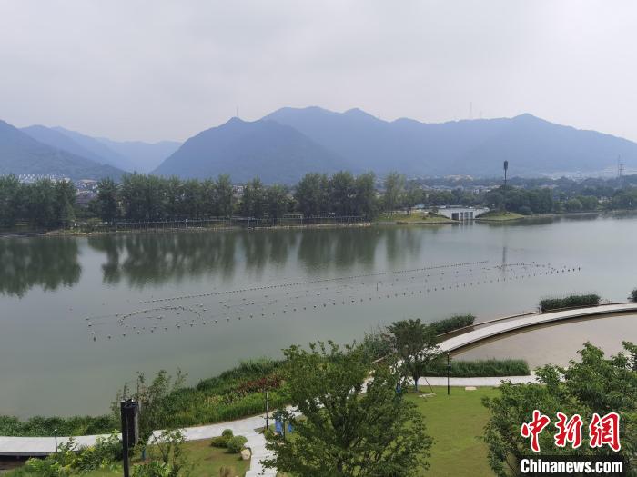 兩岸媒體共探杭州亞運(yùn)會(huì)“綠”在何處？