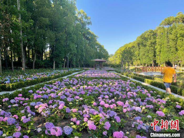 納民意、匯民智上海努力讓“公園城市”建設(shè)真正“合民心”