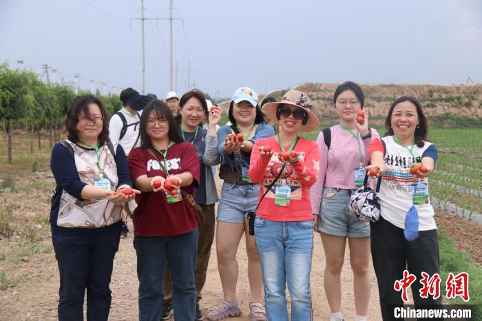 圖為臺胞體驗大美內(nèi)蒙古?！⊥袐I供圖