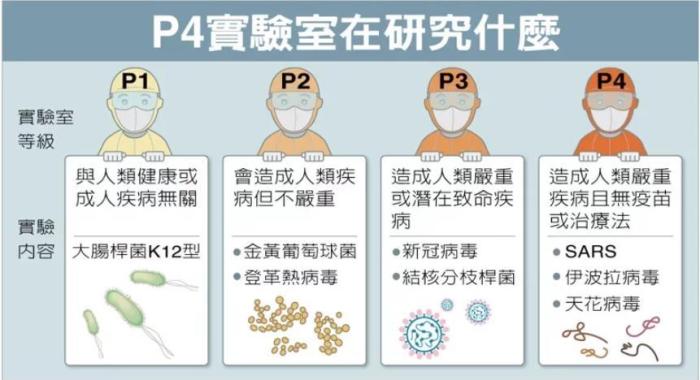 P4實驗室在研究什么。臺灣聯(lián)合新聞網(wǎng)資料圖