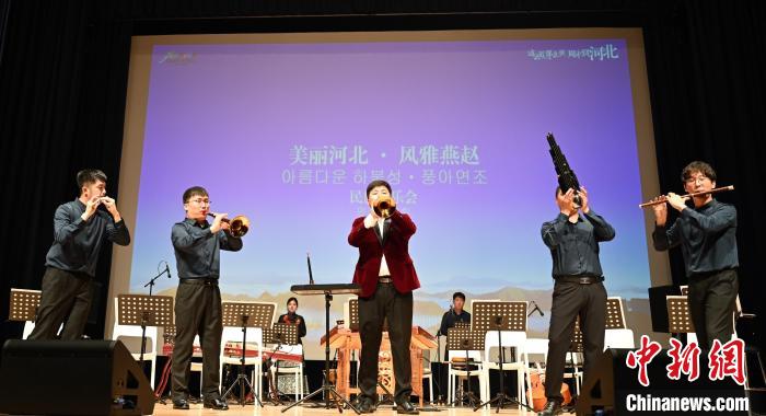 圖為音樂會現(xiàn)場。　首爾中國文化中心供圖