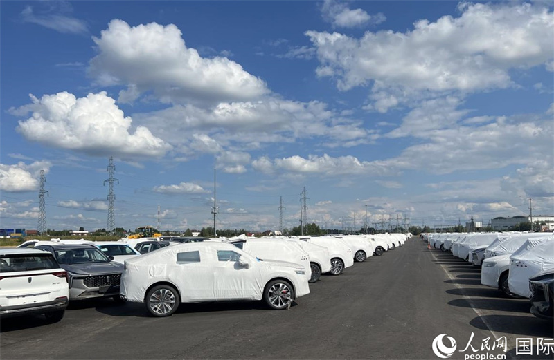莫斯科別雷拉斯特物流中心內(nèi)的中國品牌汽車。人民網(wǎng)記者 申佳平攝