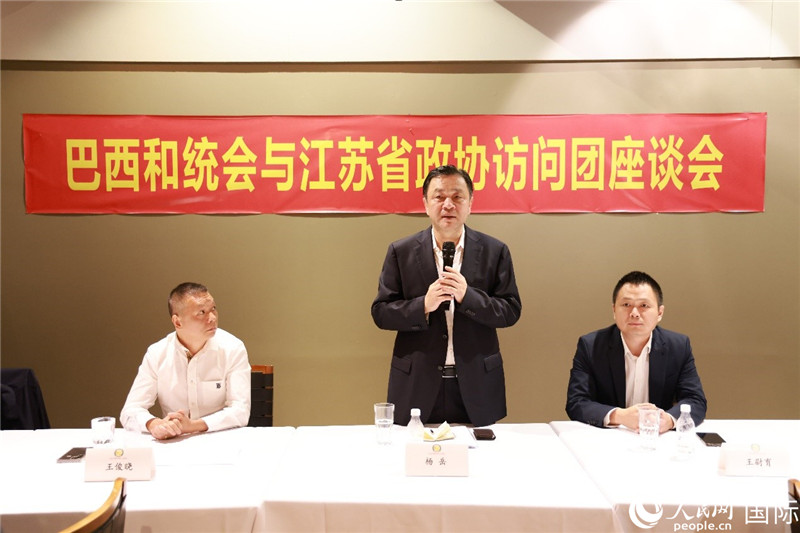 江蘇省政協(xié)副主席楊岳（中）在座談會上致辭。人民網(wǎng)記者 陳海琪攝