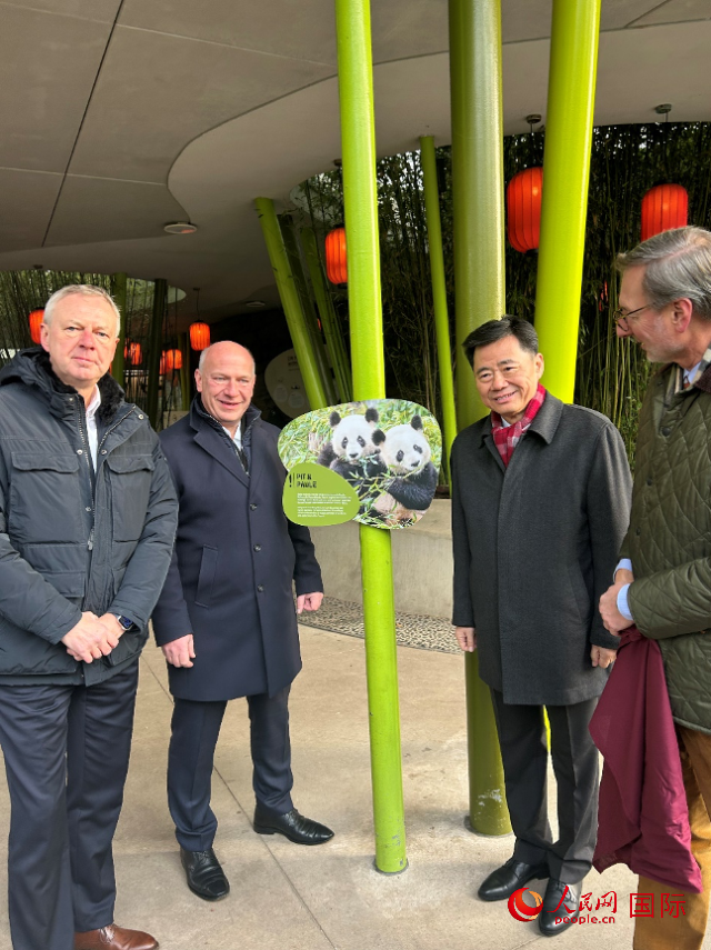 中國駐德國大使吳懇（右二）、柏林市長韋格納（左二）、動物園園長克尼里姆（右一）和監(jiān)事會主席布魯克曼（左一）共同為“夢想”“夢圓”大熊貓紀(jì)念牌揭幕。人民網(wǎng)記者 徐馨攝