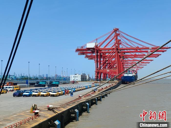 資料圖：國產(chǎn)新能源車在上海外高橋港區(qū)海通碼頭“整裝待發(fā)”?！∑址?攝