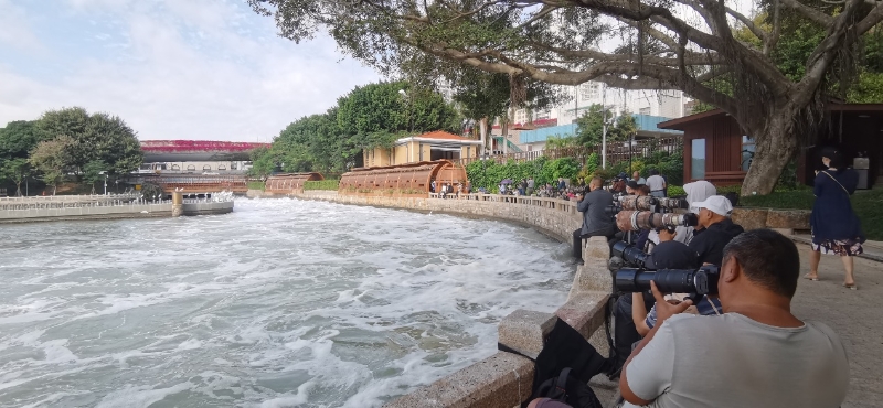 筼筜湖畔，許多攝影愛好者在拍攝白鷺。廈門市觀鳥協(xié)會(huì)彭志偉供圖