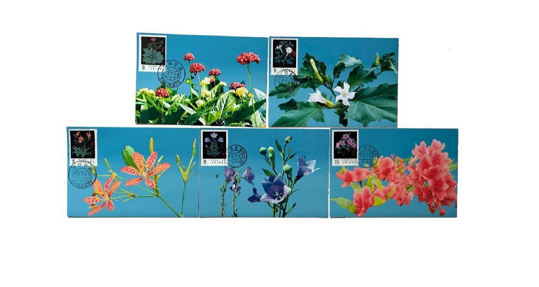 首套藥用植物極限片。第七屆阿聯(lián)酋集郵展主辦方供圖