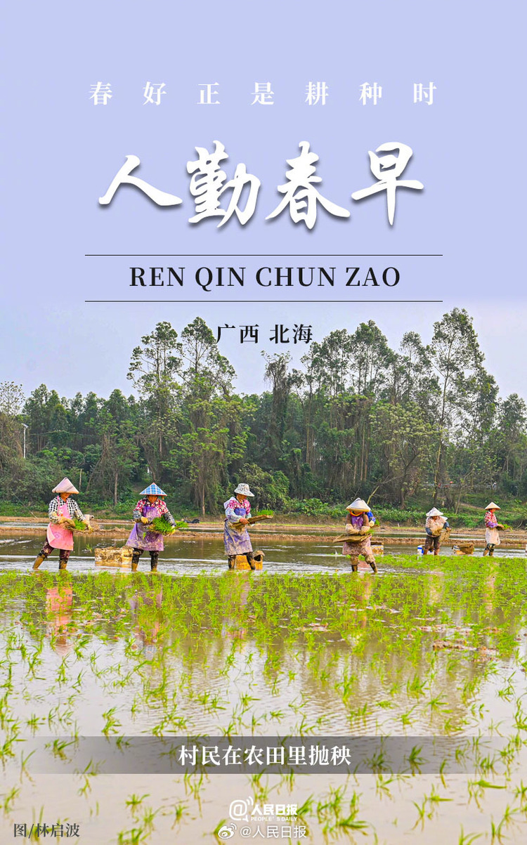 生機(jī)盎然！用課本封面打開(kāi)春耕畫卷