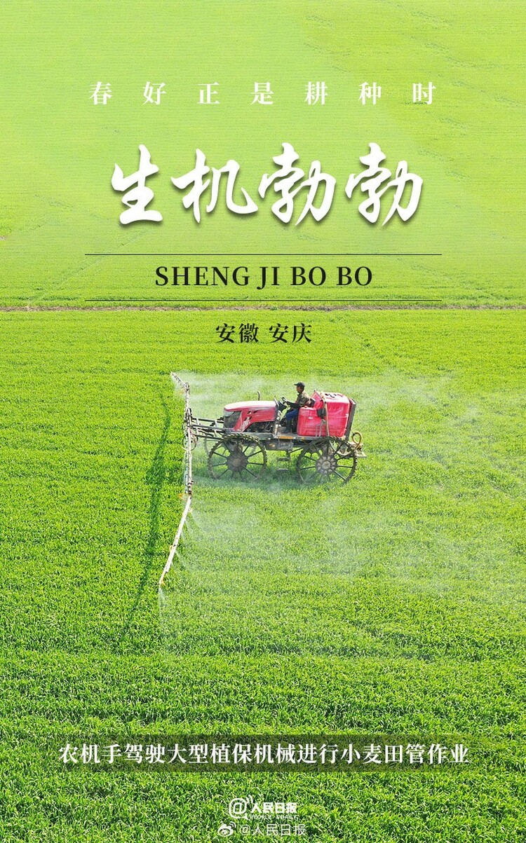生機(jī)盎然！用課本封面打開(kāi)春耕畫卷