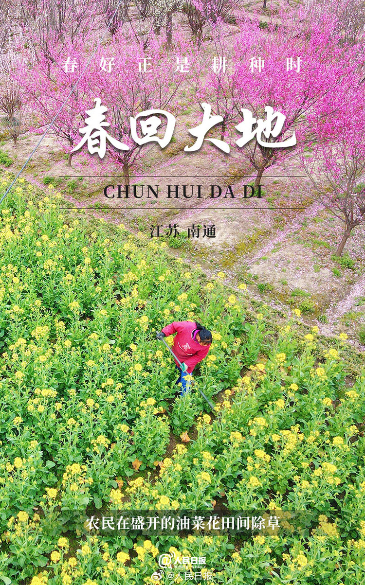生機(jī)盎然！用課本封面打開(kāi)春耕畫卷