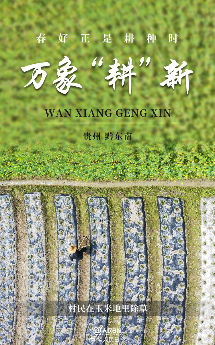 生機(jī)盎然！用課本封面打開(kāi)春耕畫卷