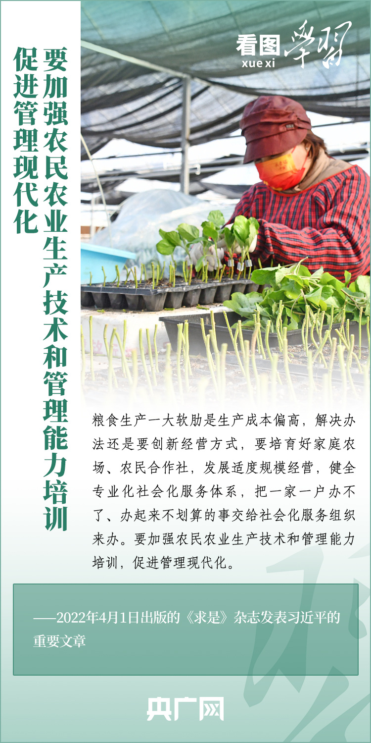 看圖學(xué)習(xí)丨推廣良田、良種、良法、良機(jī) 給農(nóng)業(yè)現(xiàn)代化插上科技的翅膀