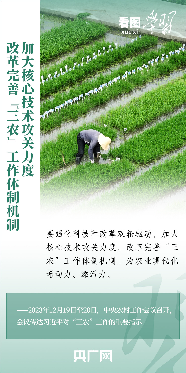 看圖學(xué)習(xí)丨推廣良田、良種、良法、良機(jī) 給農(nóng)業(yè)現(xiàn)代化插上科技的翅膀