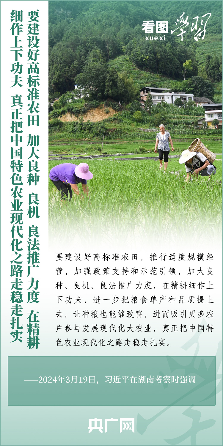 看圖學(xué)習(xí)丨推廣良田、良種、良法、良機(jī) 給農(nóng)業(yè)現(xiàn)代化插上科技的翅膀