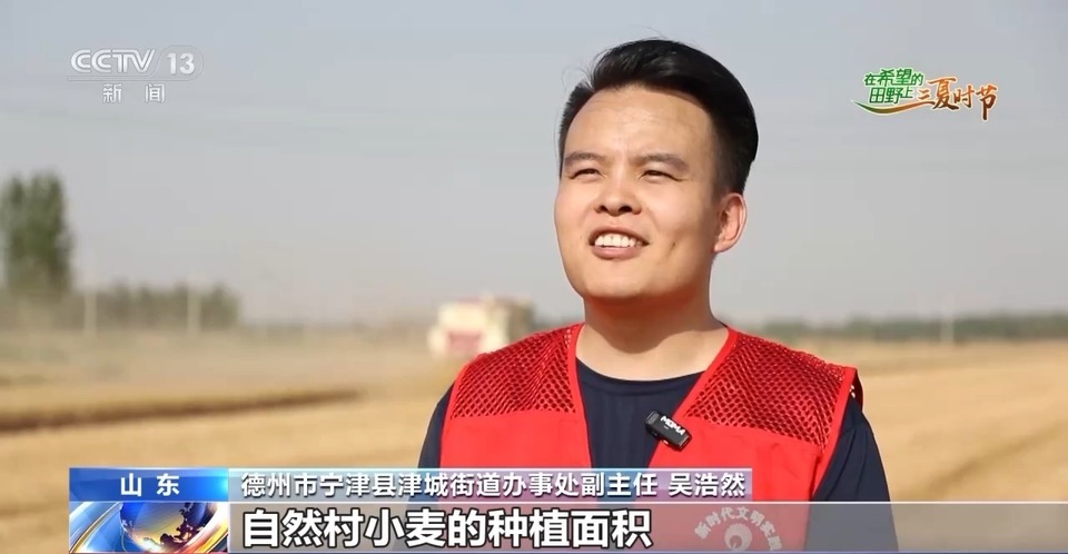 “三夏”生產(chǎn)思維導圖安排上了！還有政府大院等你來“曬”