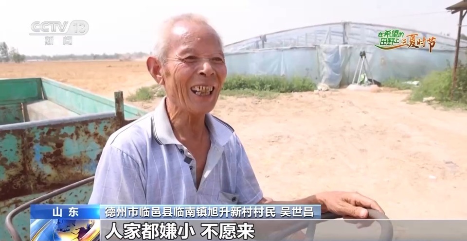 “三夏”生產(chǎn)思維導圖安排上了！還有政府大院等你來“曬”