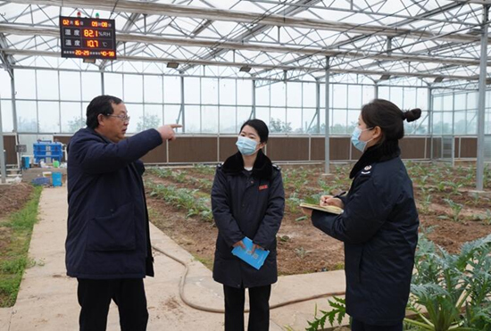 稅務(wù)干部走進常德市西洞庭管理區(qū)的朝鮮薊種植基地，宣傳稅費優(yōu)惠政策，助力農(nóng)企搶農(nóng)時、抓春耕、穩(wěn)增長。吳家豪攝