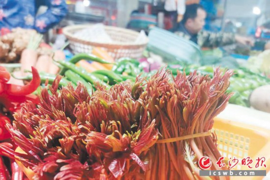 　　農(nóng)貿(mào)市場里鮮嫩的香椿?！　【鶠殚L沙晚報全媒體記者 劉捷萍 攝