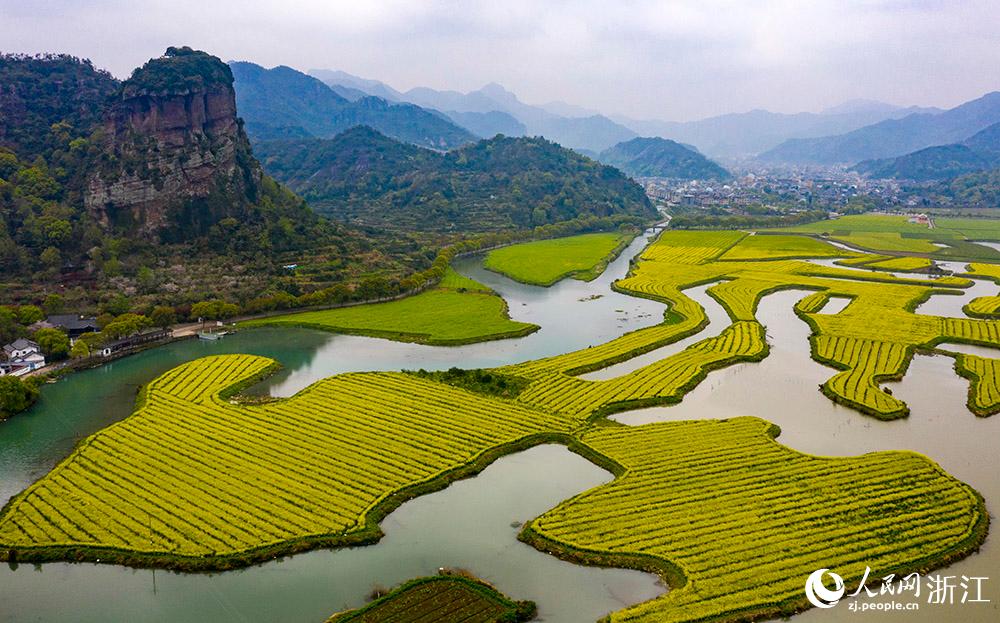 3月28日，航拍浙江省臨海市桃渚鎮(zhèn)桃江十三渚盛開的油菜花景色。人民網 章勇濤攝