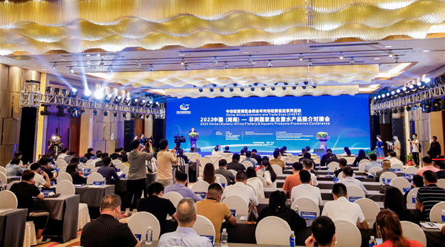 對接會現場。湖南省商務廳供圖