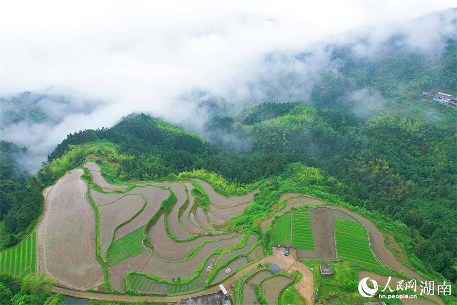 云中梯田美如畫。人民網(wǎng) 李芳森攝