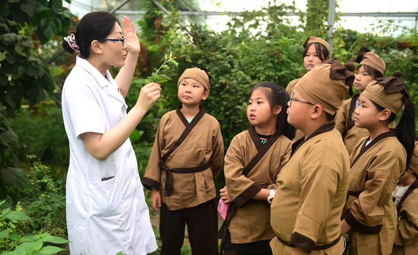 參加活動的孩子聆聽滄州市人民醫(yī)院國醫(yī)館中醫(yī)對中藥材的講解。 傅新春攝