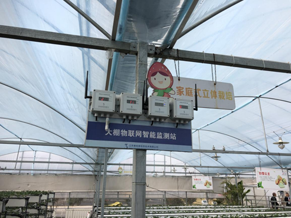 都市四季果園內(nèi)的物聯(lián)網(wǎng)智能監(jiān)測站系統(tǒng)。東?？h委宣傳部供圖