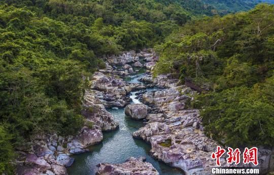 2018年海南生態(tài)環(huán)境狀況等級為“優(yōu)”，植被覆蓋率高，生物多樣性豐富，生態(tài)系統(tǒng)穩(wěn)定，圖為海南中部熱帶雨林?！●樤骑w　攝
