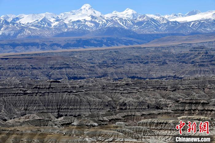 4月5日，西藏阿里札達(dá)土林?！±盍?攝