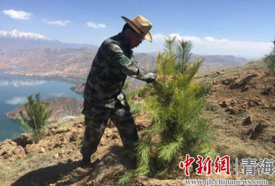 圖為尖扎干部職工生態(tài)建設(shè)和環(huán)境保護現(xiàn)場。尖宣 供圖