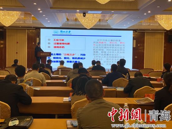 圖為論壇現(xiàn)場(chǎng)。李江寧攝