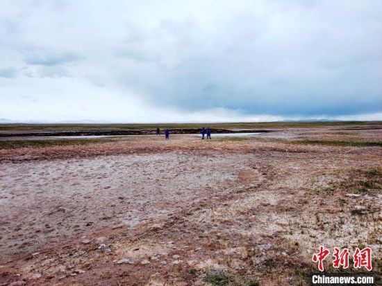 圖為救援力量在青海省西部搜救失聯(lián)的江蘇南京某大學(xué)女生黃某某。海西州藍(lán)天應(yīng)急救援中心 供圖
