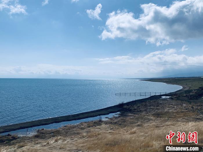 圖為青海湖畔。(資料圖) 張傲 攝