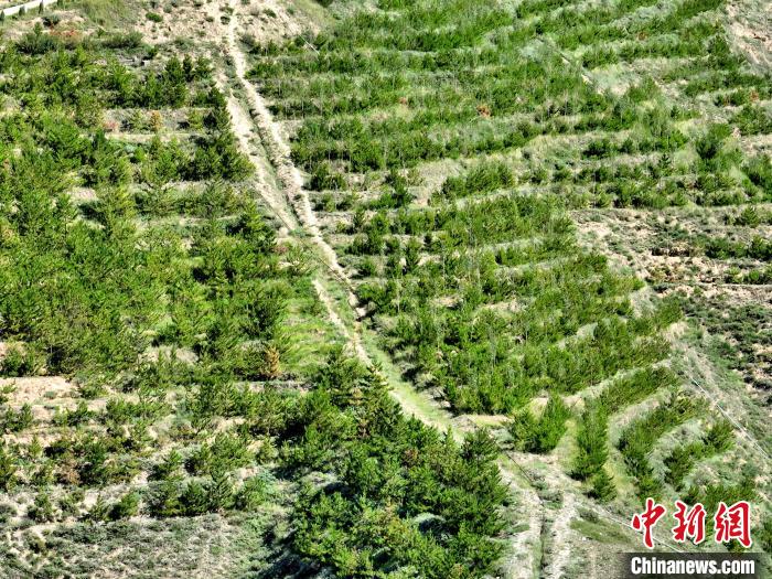 航拍建行青海省分行綠化區(qū)?！∑钤鲚?攝